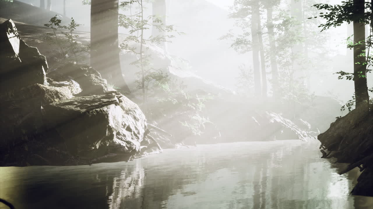 Tranquil Forest Scene with Reflections