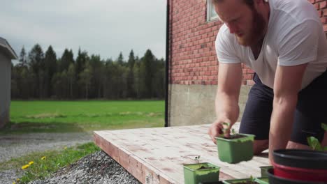 caucasian man with potted seedlings arranging it to expose on sunlight