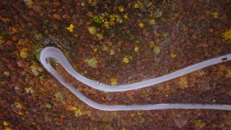 aerial view of a winding road through an autumn forest