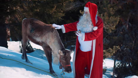 Santa-is-standing-in-a-middle-forest-covered-with-snow-with-a-reindeer-next-to-him