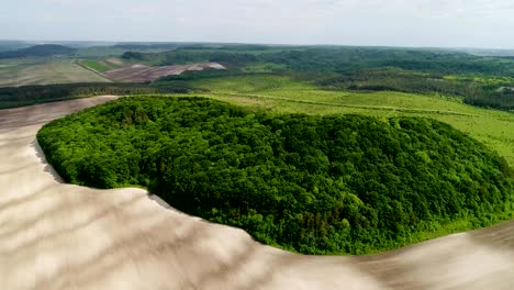 beautiful space landscape. aerial view of mystical green trees island on a field