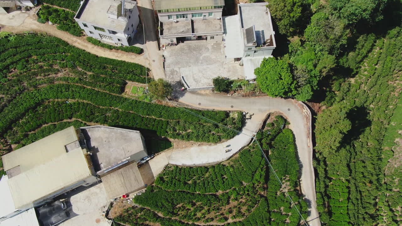 vista aérea de una aldea de plantaciones de té