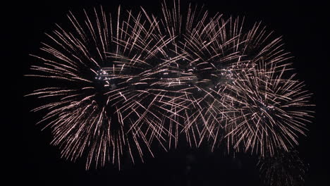 firework display at night on sky background