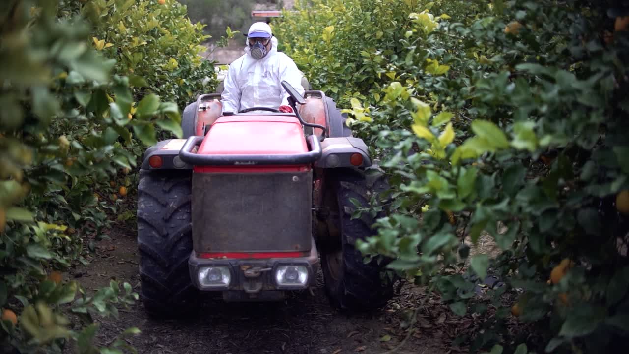 Agricoltore che spruzza insetticidi, pesticidi o fitofarmaci su alberi di limoni in un campo agricolo in Spagna.