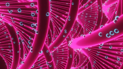espirales genéticas rotativas de colores. diseño. primer plano de espirales geneticas rotativas con puntos. muchas espirales genéticas brillantes con puntos infectados