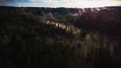 foggy morning over some trees and a river shot by drone in 4k 60fps