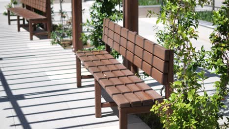 wooden park benches in a sunny urban park