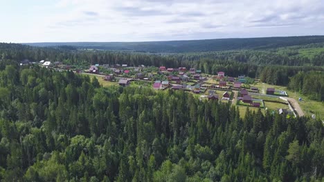 aerial view of a village in a forest