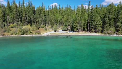 exuberante bosque verde y agua azul verde del lago ashley en montana en un hermoso día - tiro aéreo