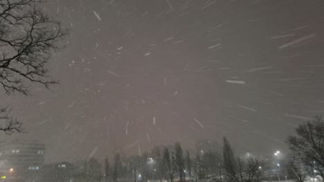 falling down real snowflakes, heavy snow, snowstorm weather, shot on black background, matte, wide angle, seamlessly looped animation, isolated, perfect for digital composition, post-production.