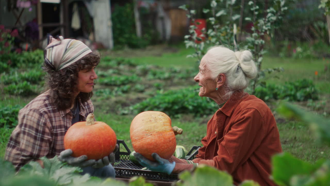 Young and Elderly Women Holding Pumpkins and Discussing Harvest in Garden