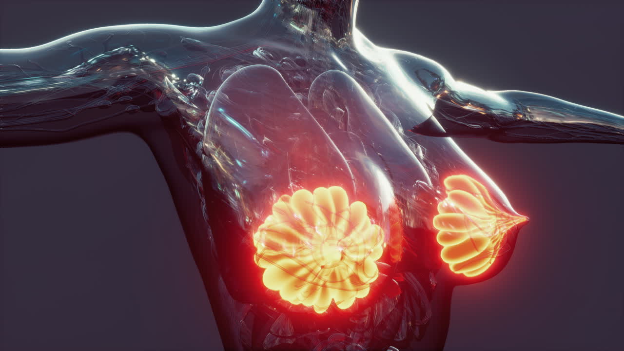 빛나는 유방선과 함께 인간 몸의 과학 해부학