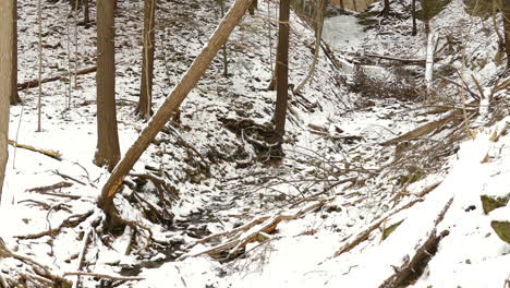 Slow-pan-left-across-beautiful-white-snow-covered-forest-and-woodland