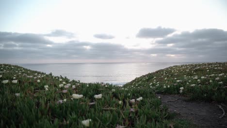 Vista-Panorámica-De-Un-Día-Nublado-En-La-Playa-Desde-Un-Acantilado-De-Plantas