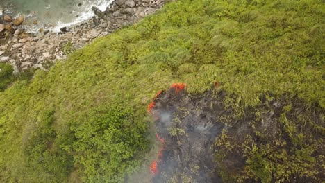 el fuego se extiende a través de la vegetación de la montaña en un día de viento