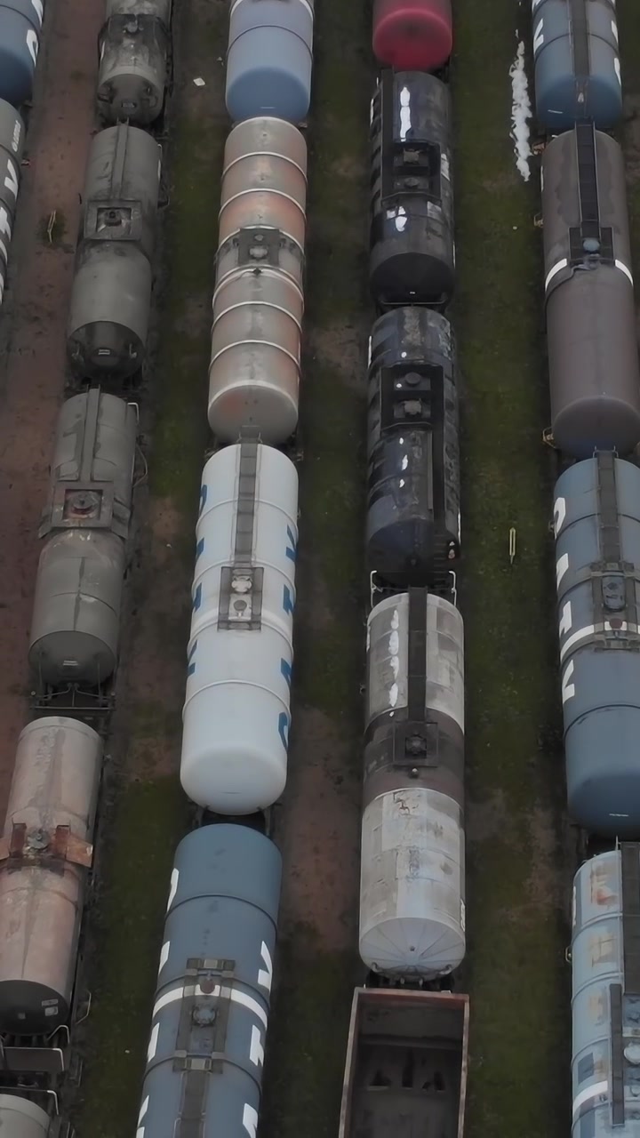 Trains lined up in a rail yard during daylight hours