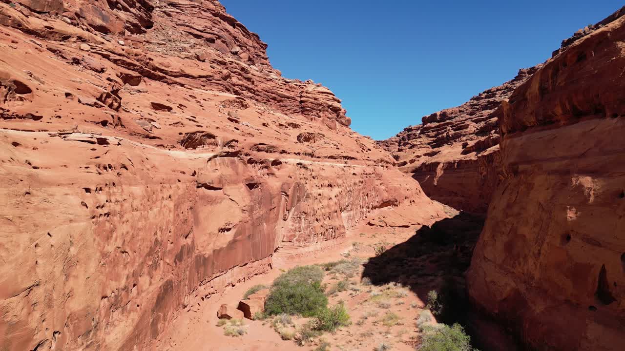 Lenta ripresa aerea in avanti con drone attraverso un canyon alto. Pareti di arenaria rossa erosa, letto del fiume asciutto, cespugli verdi e luce solare intensa che proietta ombre scure sotto il cielo blu