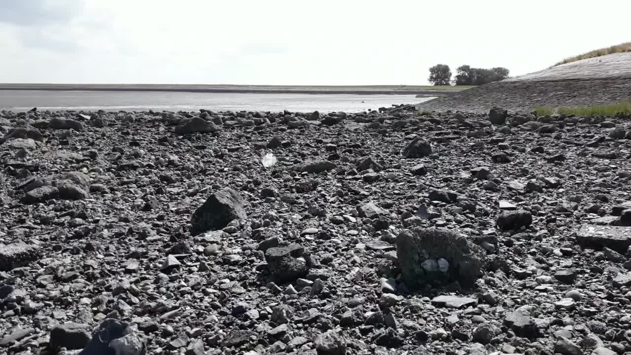 westerschelde, 's-gravenpolder, zeeland, 네덜란드의 제방에 의해 주변에 회색 젖은 바위의 전체 hd 샷 비행