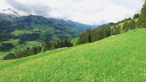 swiss alps landscape with meadows and cabins