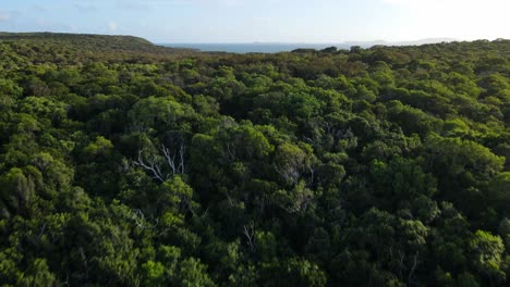 aerial morning over a remote island in tropical australia