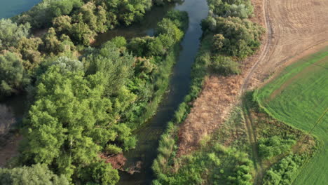 Madrid,-Spanien---üppige-Landwirtschaftlich-Genutzte-Landschaft---Fließender-Fluss,-Luftdrohne