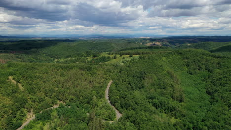 Road-trip-through-a-forest-summer-in-hungary