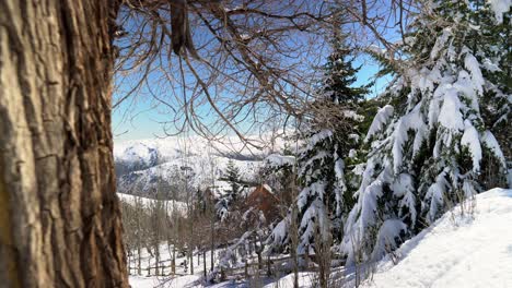 Panoramic-view-truck-left-establishing-of-pine-trees-and-the-snow-filled-mountain-village-of-Farellones,-Chile