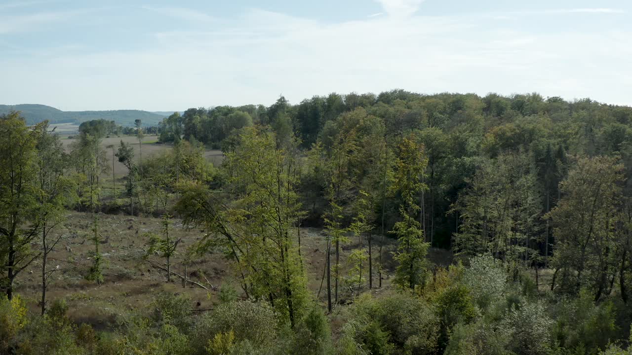 съемка с беспилотника над красивым немецким пейзажем, лес, европа
