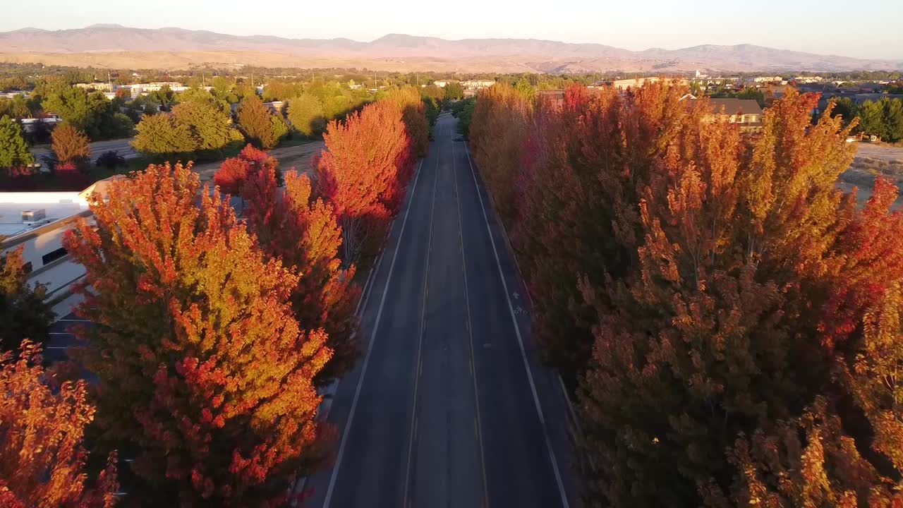video de drones volando sobre una calle con hermosos y coloridos árboles de otoño al atardecer