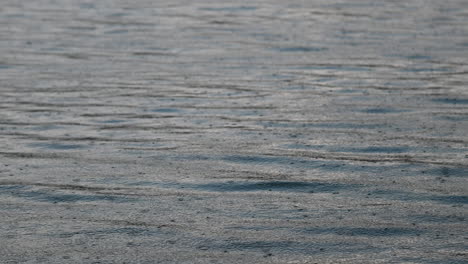 heavy rain background in the lake