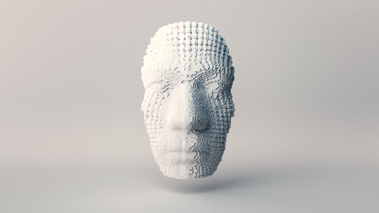 rostro y forma de voxel 3d abstracto