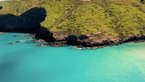 árboles, bali, mar azul, nusa penida, fotografía de drones, viajero, olas rompiendo, toma aérea, fotografía aérea, vida en la isla, asia, playa de drones, activo, de marea, caminata, retrato