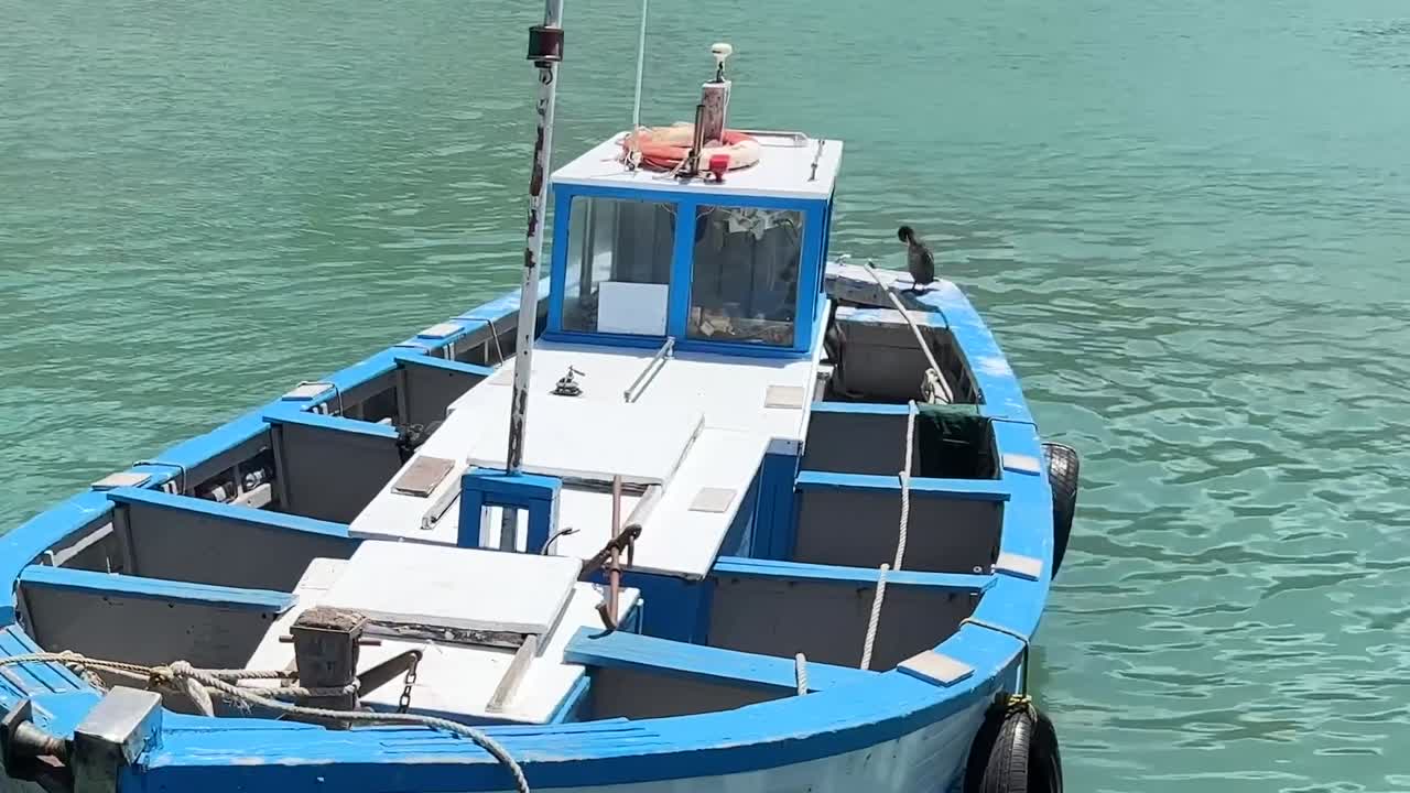 Barca da pesca all'ancora nel porto.