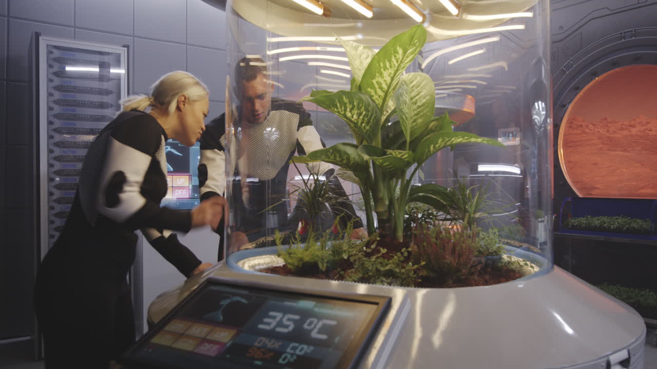 Scientists in a space station greenhouse experiment