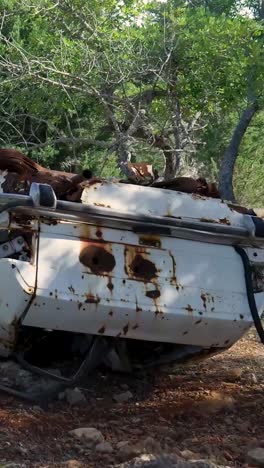 coche oxidado y abandonado en el bosque