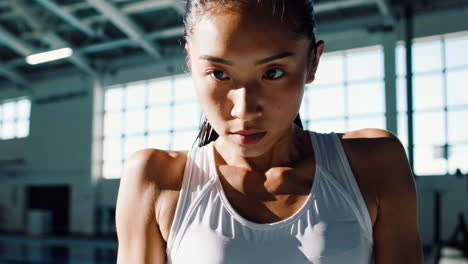female swimmer at the starting block
