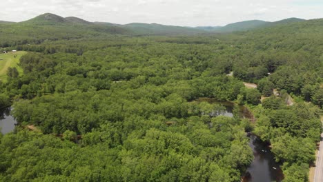 Vast-aerial-flyover-above-forest-and-greenery-in-Upstate-New-York,-USA