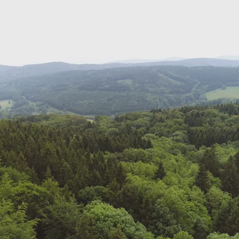 Fliegen-über-Das-Schöne-Waldbäume-Landschaftspanorama-72