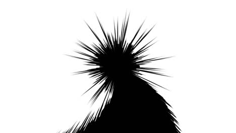 material cómico japonés. línea de velocidad, línea de efecto, línea de concentración. animación de bucle de línea concentrada de dibujos animados. marco de velocidad de manga. líneas radiales blancas y negras. alta velocidad.