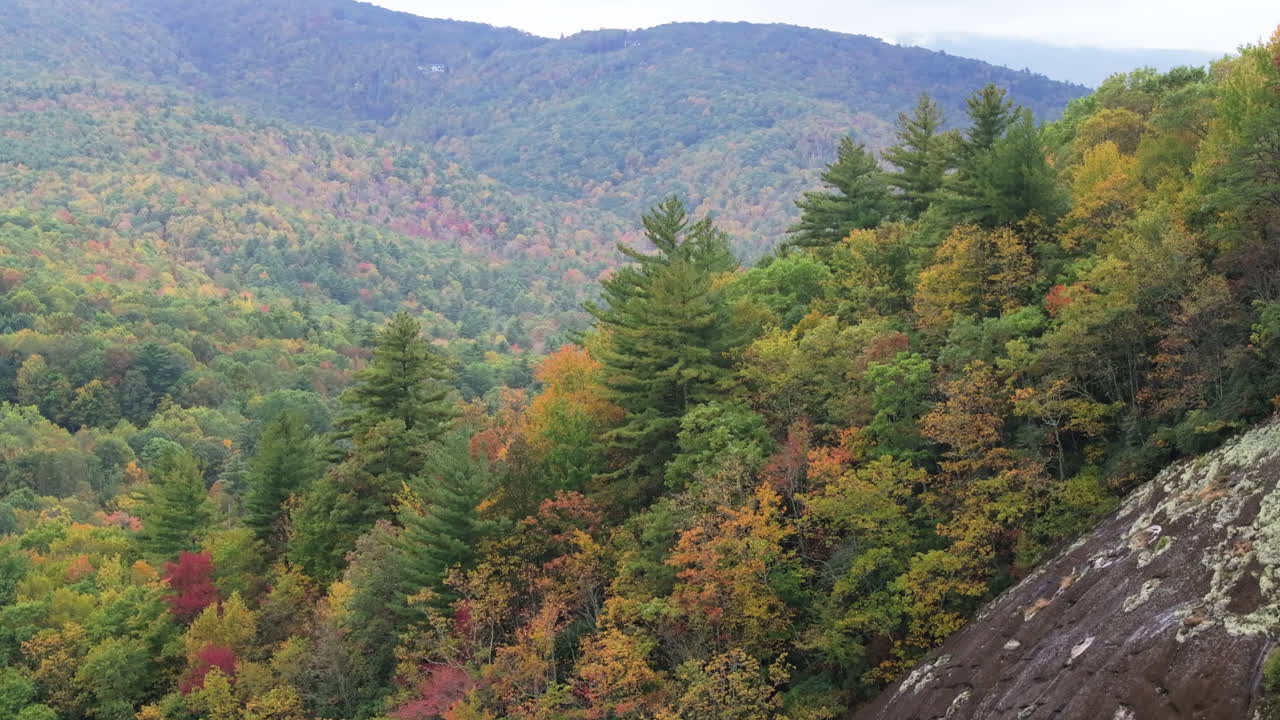 Cinematic drone footage of autumn foliage blanketing the Blue Ridge Mountains in North Carolin
