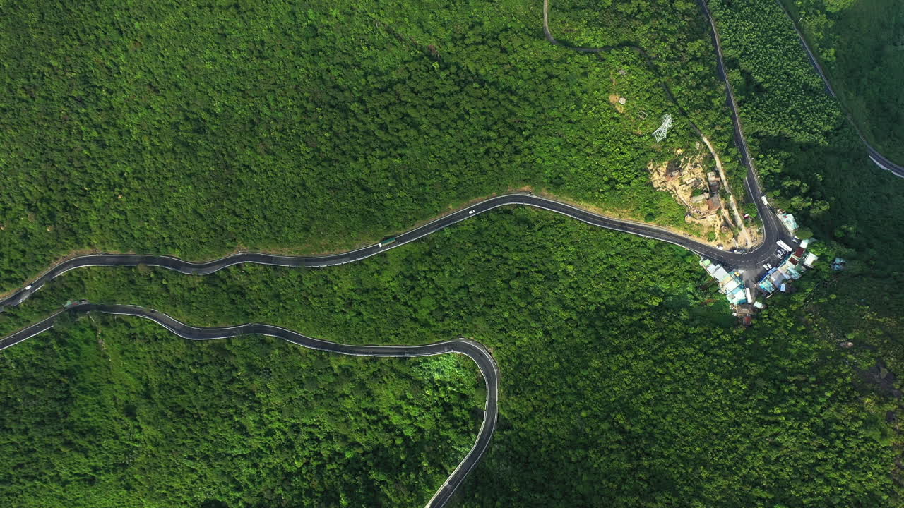 이 초록색이 얼마나 아름답습니까?