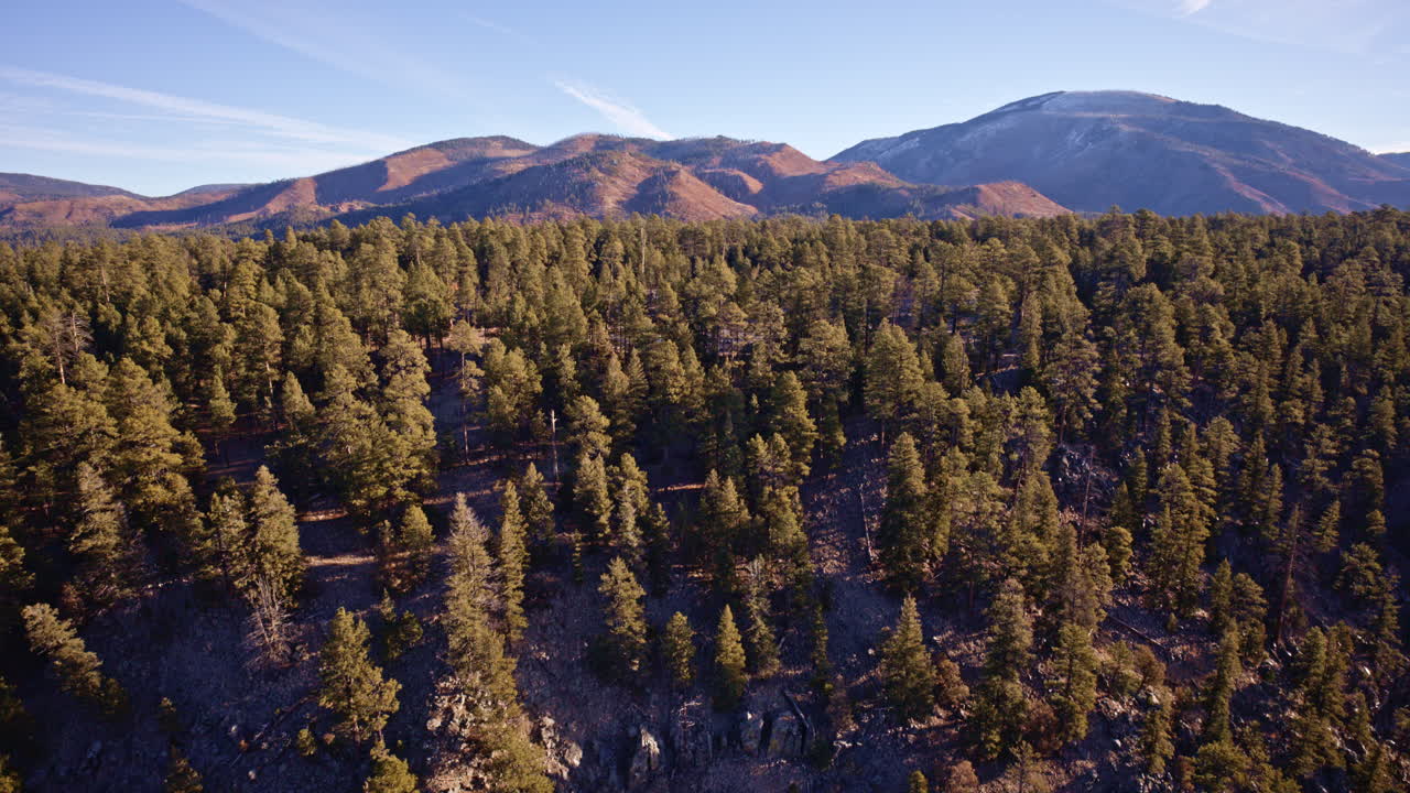 Drammatica ripresa da drone di scogliere rocciose del Nuovo Messico punteggiate da piccole isole di alberi e vegetazione.