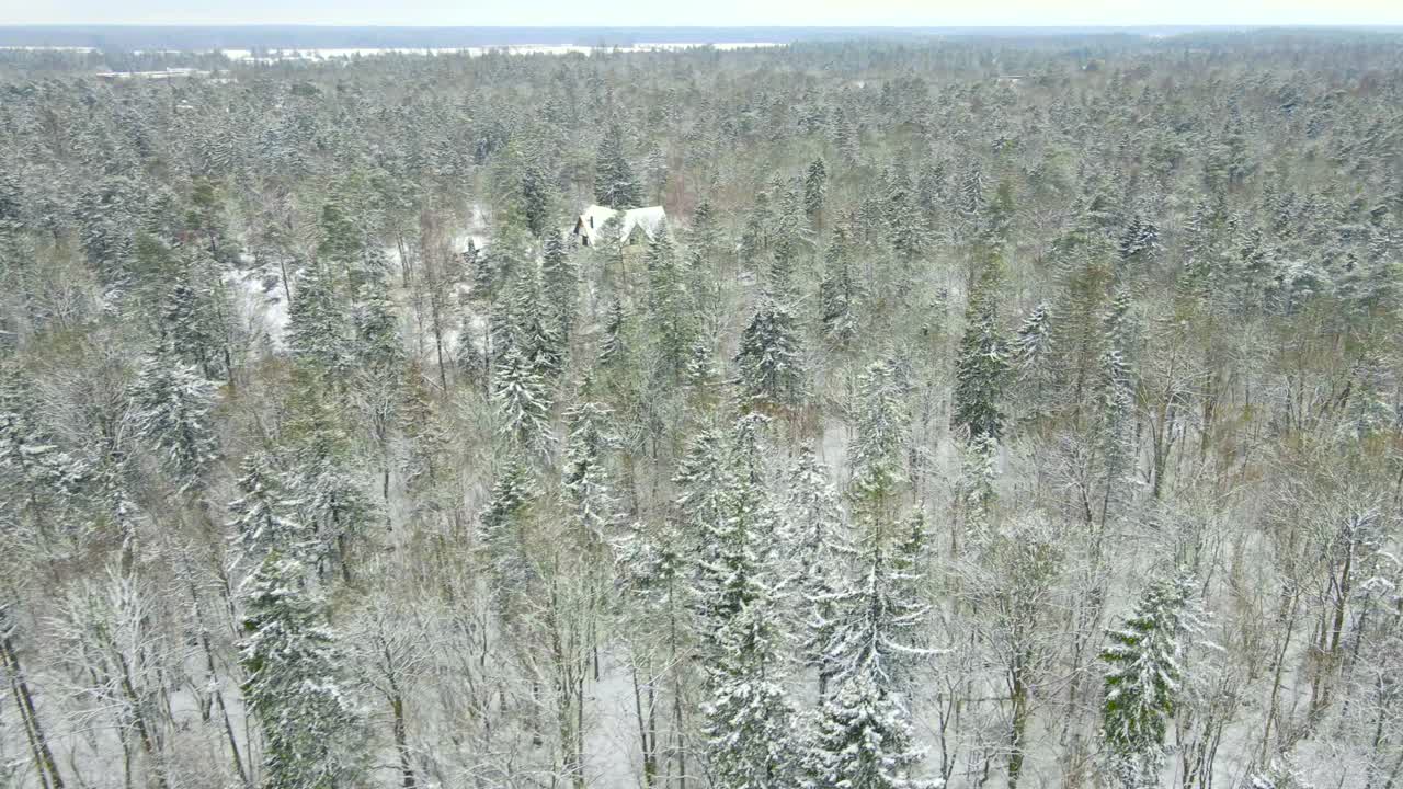 Aerial drone footage flying above and over Tabasalu cliff bank winter white snow covered forest where a small house is visible in the woods. Footage moves to the cliff where Baltic sea is visible too.