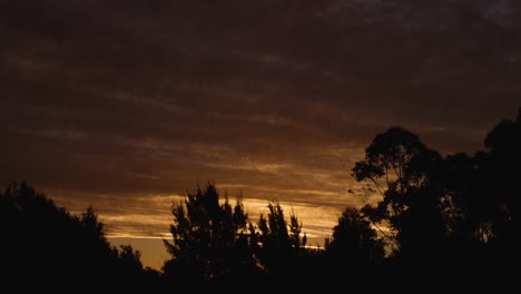 lapso de tiempo de una puesta de sol dorada a través de los árboles mientras las nubes se mueven por el cielo