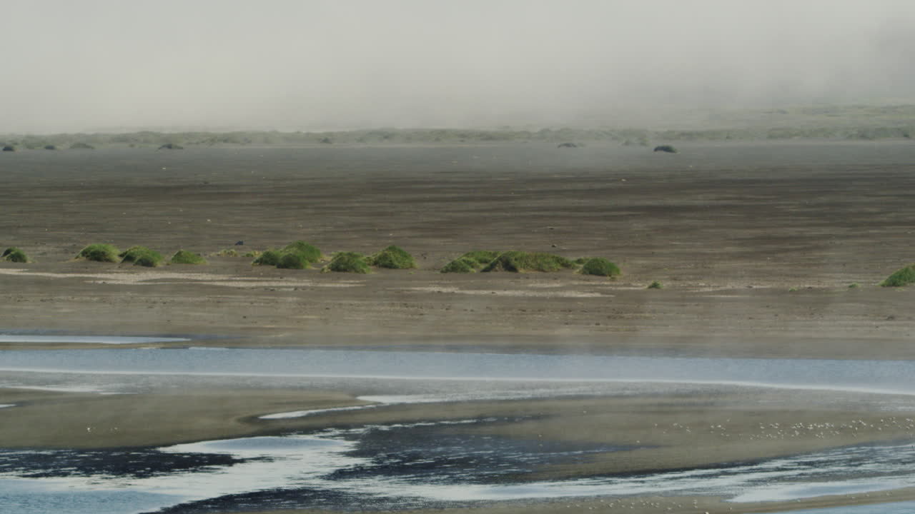 Paesaggio cupo e nebbioso dell'Islanda nord-occidentale, vista ravvicinata.