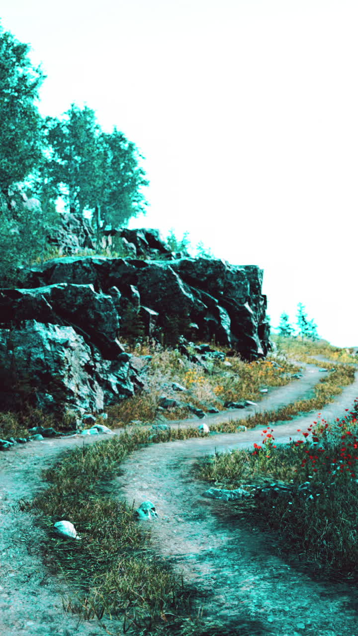 A winding dirt path leads through a forest