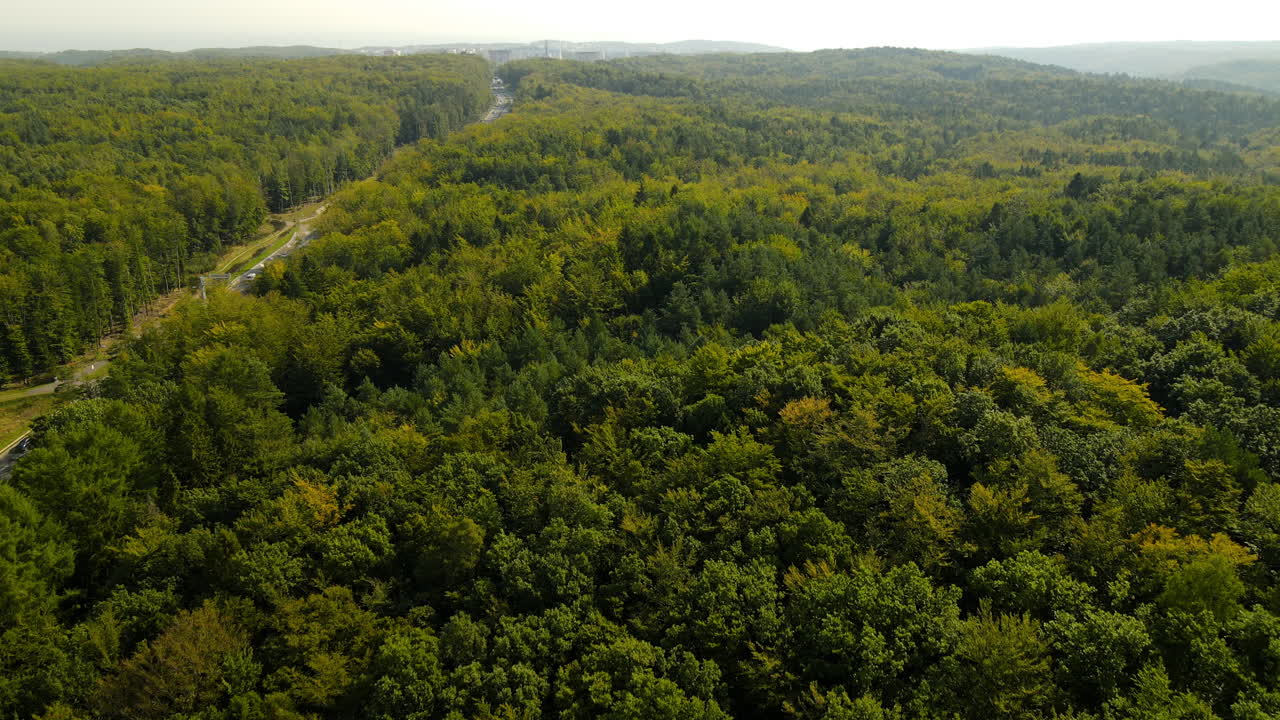 vuelo aéreo sobre el desarrollo de la carretera a través del bosque salvaje con colinas ondulantes, vista cinematográfica de los árboles