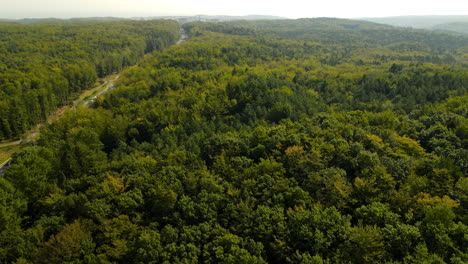 aerial flight over highway development through forest wilderness with rolling hills, cinematic view of trees