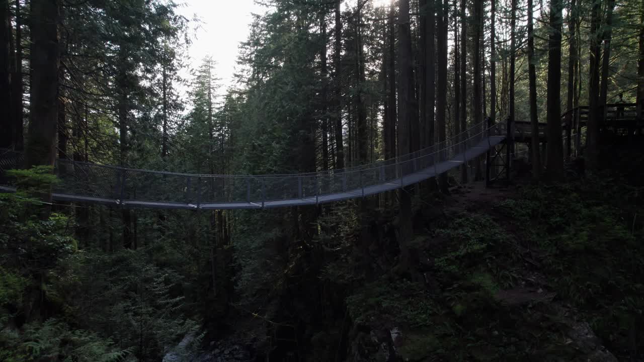 puente colgante forestal que cuelga sobre un gran valle con un arroyo que pasa por debajo