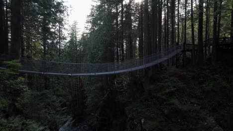 forest suspension bridge hanging over large valley with stream passing underneath